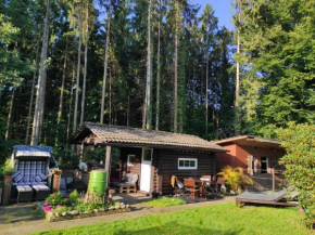 Casa Foresta - minimalistisches 1-Raum Tiny House direkt am Wald